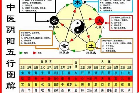 1984年五行缺什么|1984年属鼠海中金命五行缺什么